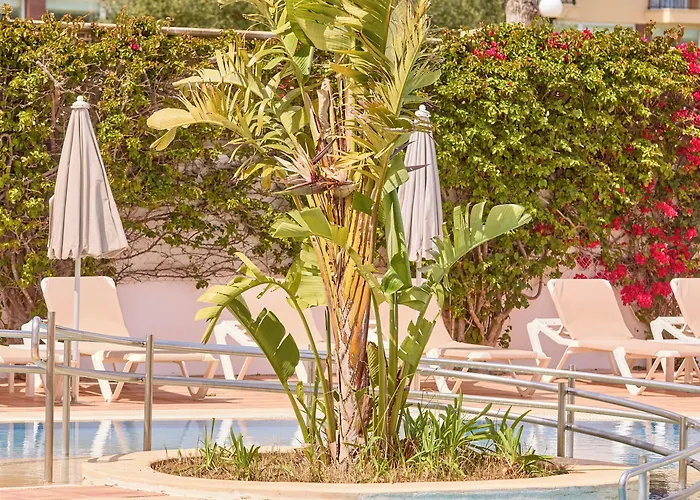 Ilusion Markus & Hotel 3*